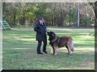 mtJNU4wTkNRVVl6T1RVeE5qVTJSVUV4UlRNeE1VSkNRVGd0YmpRdVluTXhObUUkYzJWc1pXTjBhVzl1UFhSbWIyd3hNV00xTm1ZNE9URmlNR1JtWlR   VMCZ3PTgwMCZoPTYwMCZxPTc1JnQ9MTM4NDE5NTI1MA__.jpg